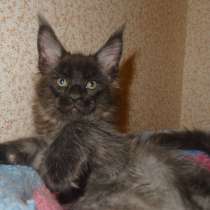 Мейн кунчик Йотунхейм, в Москве