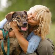 Золотой пёс Баламут!, в Москве