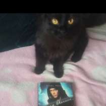 Книга чёрная молния, в Иркутске