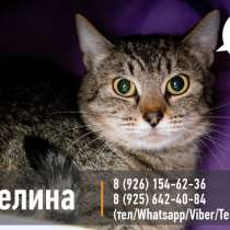 Застенчивая Эвелина в поисках надежного друга, в Москве