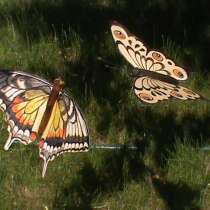 Бабочка декоративная, в Набережных Челнах