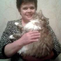 Наталья, 53 года, хочет познакомиться, в Иванове