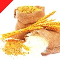 Мука оптом 500 тонн в сутки с доставкой Ж/Д,Авто., в Москве