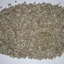 Ядро семечки подсолнечника масляное Первый сорт(бой до 15%), в г.Одесса