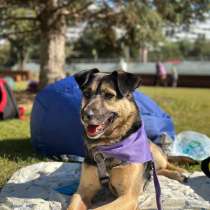 -Москва, услышьте зов Персея!, в Москве