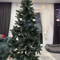 Елка новогодняя, в Зеленограде