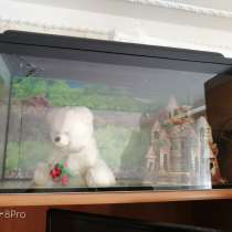 Продаются 2 аквариума вместе с акссесуароми, в Саранске