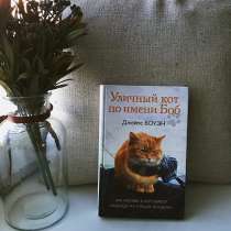 Уличный кот по имени Боб, в Хабаровске