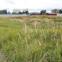 Участок, в Ногинске