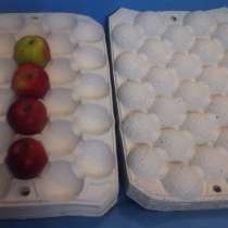 Упаковка (лоток под фрукты), в Москве