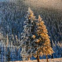 Пазлы, в Бердске