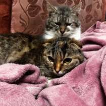 Город Нефтекумск, в Ставрополе