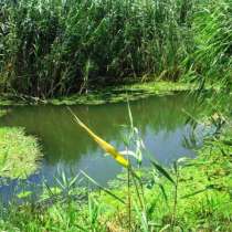 Участок 13.5 га (СНТ, ДНП) хутор Пригибский, в Краснодаре