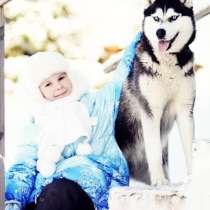 Черно-белые голубоглазые и разноглазые щенки хаски, в Йошкар-Оле