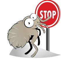 Уничтожение блох, в Москве