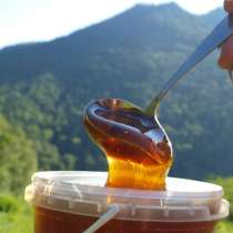 С личной пасеки экологически чистый элитный от 800 р/кг, в Санкт-Петербурге