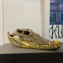 Череп крокодила, в Екатеринбурге