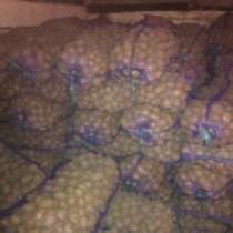 Картофель оптом, в Санкт-Петербурге