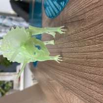 Динозавр обычный зеленый, в Новосибирске