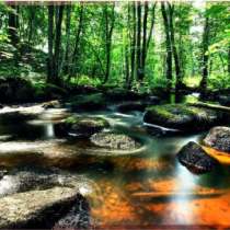 Картины и постеры для дома Магазин-Картин, в Самаре