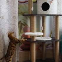Домик для кошек с гамаком, в Новосибирске