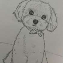 Рисую ваших питомцев на заказ!❤️??, в Москве