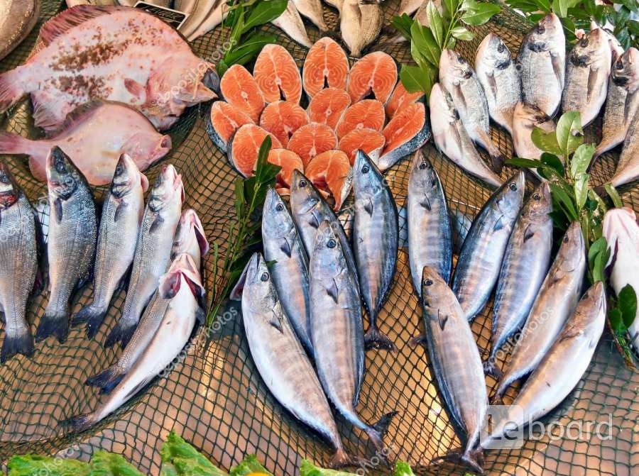 Самые полезные сорта рыбы. Полезные сорта рыбы. Ценные сорта рыбы. Полезные сорта рыбы. Полезные сорта рыб.