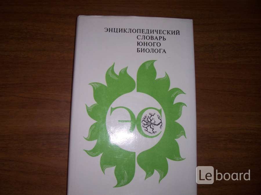 Словарь юного дизайнера 6 класс проект