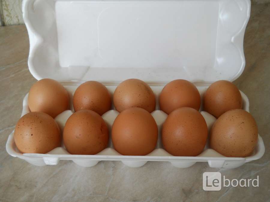Купить яйцо в белгородской области. Домашние куриные яйца. Яйца Деревенские. Яйцо домашнее куриное. Яйцо куриное домашнее 10шт.